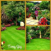 30th Jul 2012 - Garden