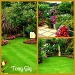 Garden by tonygig