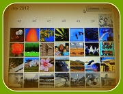 30th Jul 2012 - A Month of Thumbnails