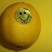 Not a bitter  lemon ;-) by rosbush
