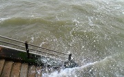 29th Jul 2012 - 10,000 steps into the sea