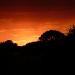 Sunset over Trimley by lellie