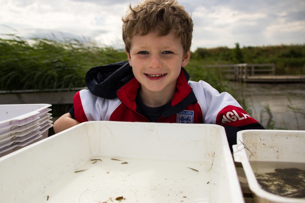 Pond Dipping At RSPB Saltholme by natsnell