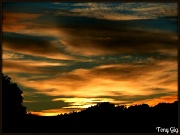 31st Jul 2012 -  Early Morning Sky 