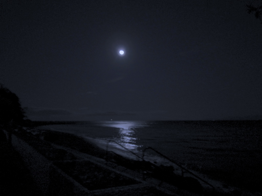 Path of Moonlight by pamelaf