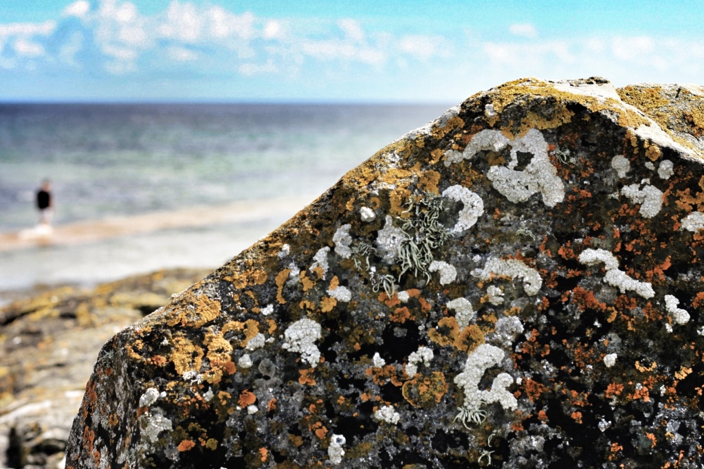 Marazion Rock by rich57