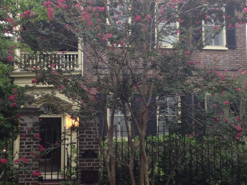 Old house and crepe myrtle, Charleston, SC by congaree