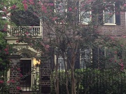 30th Jul 2012 - Old house and crepe myrtle, Charleston, SC