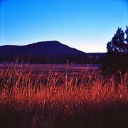 31st Jul 2012 - Frosty morning