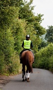 31st Jul 2012 - horse and rider