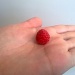 Raspberry by tiss