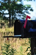 2nd Aug 2012 - You got mail..