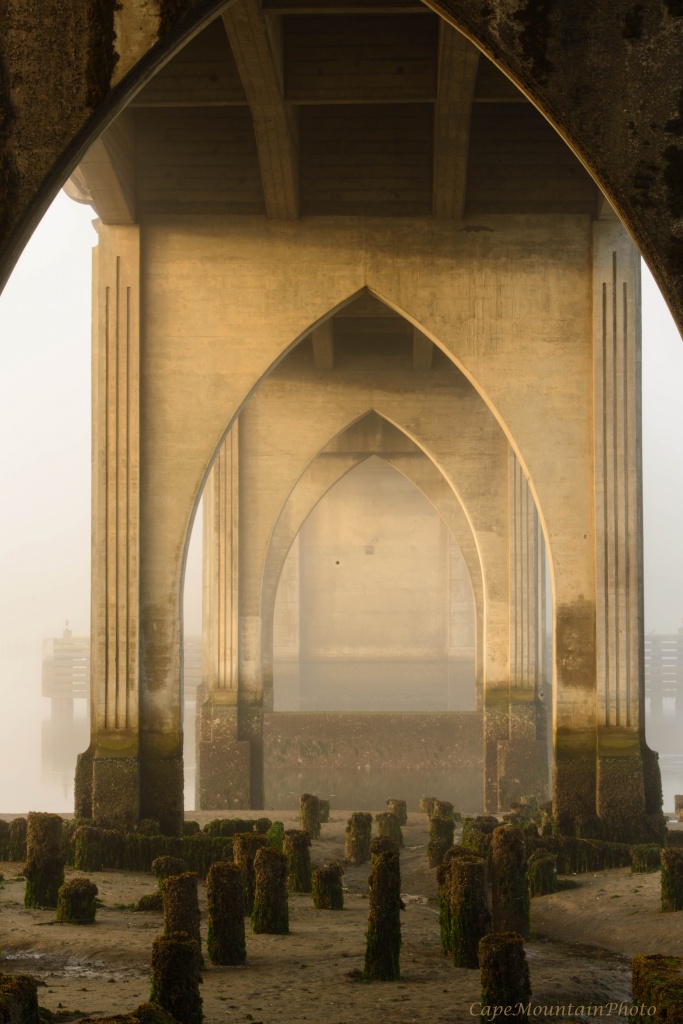 Under the Bridge in the Fog in Early Morning Summer Light by jgpittenger
