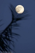 31st Jul 2012 - Moon launch