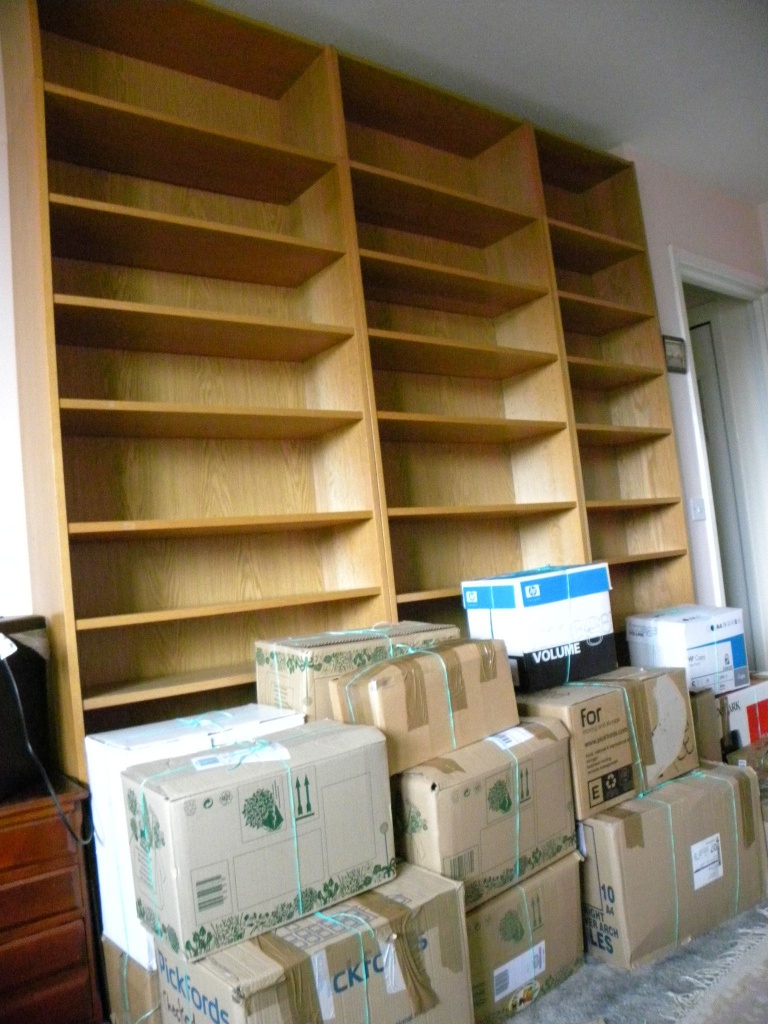Full boxes, empty bookcases by oldjosh