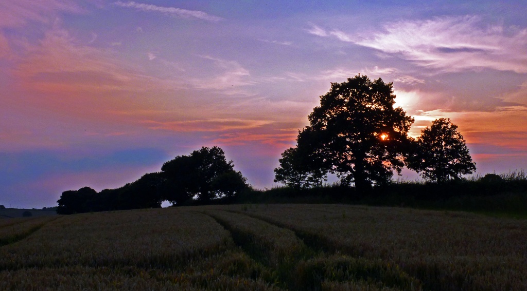 Sunset Fields by phil_howcroft