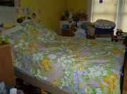 25th Jun 2012 - Bed