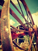 1st Aug 2012 - wagon wheel