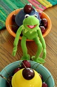 1st Aug 2012 - Kermit