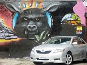 31st Jul 2012 - Gorilla with Donkey Ears Wearing a Jeweled Crown, hmmm?