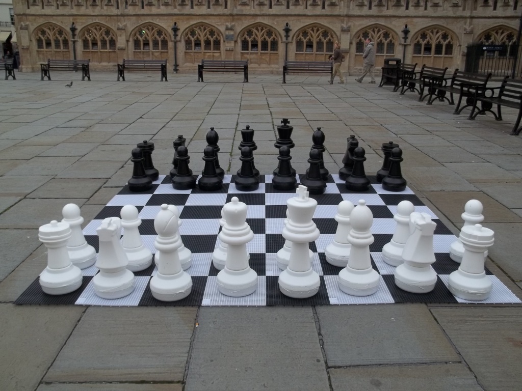 Anyone for Chess? by rosbush