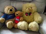18th Jul 2012 - Three Bears