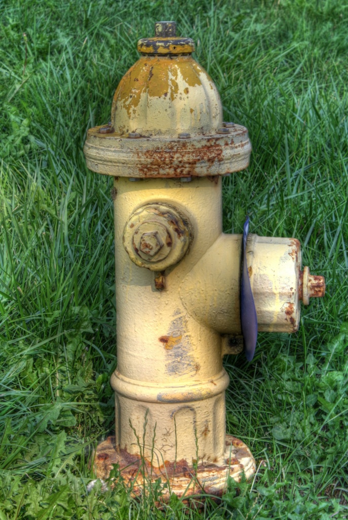 Rusty fire hydrant by mittens