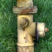 Rusty fire hydrant by mittens