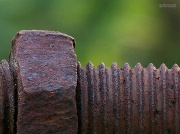 2nd Aug 2012 - Rusted...