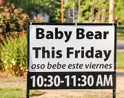 2nd Aug 2012 - Baby Bear