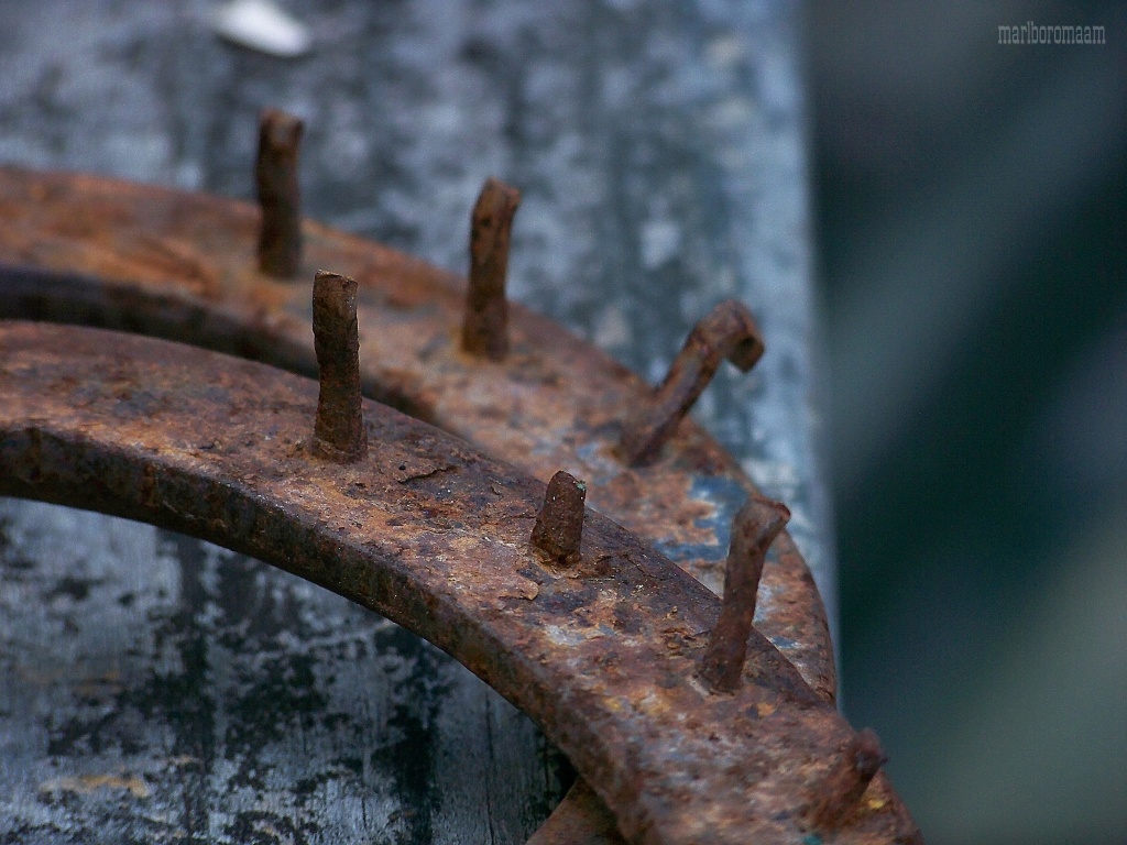 Rusted old shoes and nails... by marlboromaam