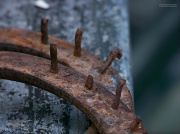 5th Aug 2012 - Rusted old shoes and nails...