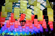 2nd Aug 2012 - Olympic Colour Scheme