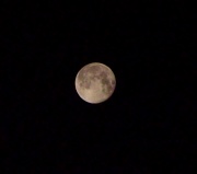 3rd Aug 2012 - Yes, Another Moon Shot