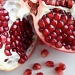 Pomegranate  by joa