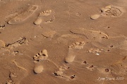 3rd Aug 2012 - Footprints in the Sand
