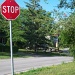 Even birds obey a stop sign by bruni