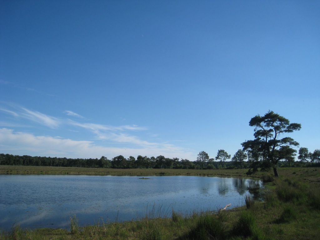 Nature reserve at Bakkaveen by sarahhorsfall