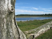 24th Jul 2012 - Bakkaveen nature reserve
