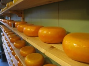 28th Jul 2012 - Cheese!