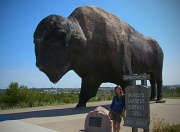 2nd Aug 2012 - Buffalo