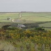 Cornish Countryside by daffodill