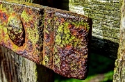 2nd Aug 2012 - rust and lichen