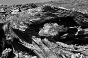 3rd Aug 2012 - Driftwood and Stone