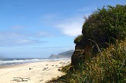 19th Jul 2012 - Oregon Coast