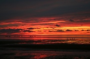 3rd Aug 2012 - Fire in the Sky