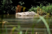 19th Jul 2012 - River mooring