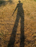 2nd Aug 2012 - LongShadow
