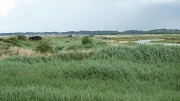 4th Aug 2012 - Landscape