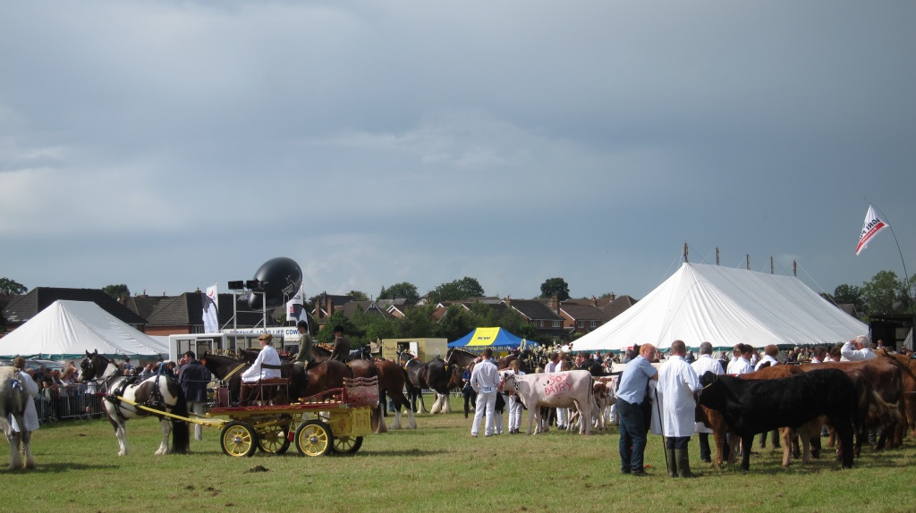 Garstang show  by happypat